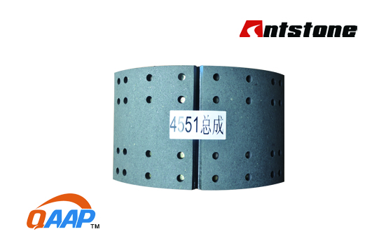 BRAKE SHOE ASSEMBLY 2